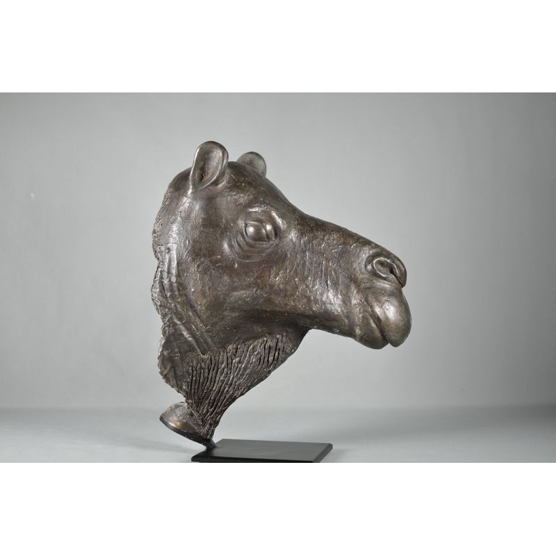 François CARRIERE, "Dromadaire", aluminium